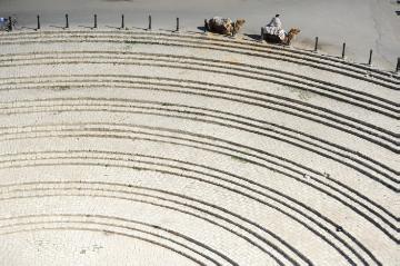 Kamele auf dem Vorplatz des Amphitheaters von El Djem (Tunesien) am 22. April 2017.