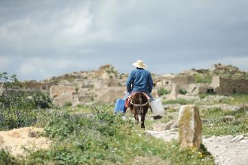 Ein Mann reitet auf einem Esel durch die antike Ruinenstadt Thugga, heute Dougga, am 20. April 2017.