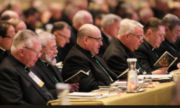 Bischöfe bei der Herbstvollversammlung der US-amerikanischen Bischofskonferenz (USCCB) am 13. November 2018 in Baltimore.