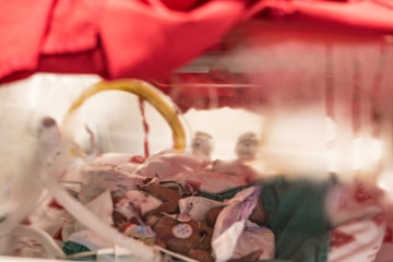 Ein frühgeborener, toter Säugling liegt am 14. November 2018 auf der Neugeborenen-Intensivstation des Holy Family Hospital (dt. Malteserkrankenhaus zur Heiligen Familie) in Bethlehem. An seinem Körper sind Kabel und Sonden angeschlossen. Das Bettchen ist mit einem roten Tuch abgedeckt.