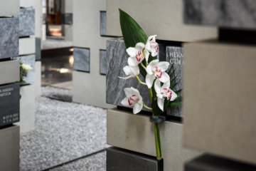 Eine Orchidee ist an einer Urnenstele befestigt in der Grabeskirche Sankt Josef in Aachen am 18. Februar 2019.