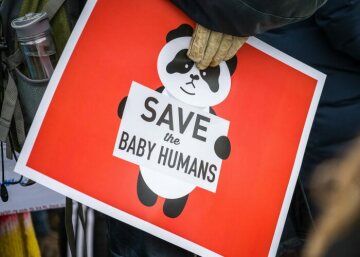 Ein Pro-Life-Demonstrant hält ein Plakat mit dem Bild eines Pandabären und der Aufschrift "Save the Baby Humans" beim March for Life, dem Marsch für das Leben, am 18. Januar 2019 in Washington.