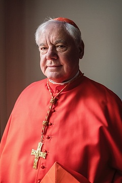 Kardinal Gerhard Ludwig Müller am 18. Februar 2019 in Rom.